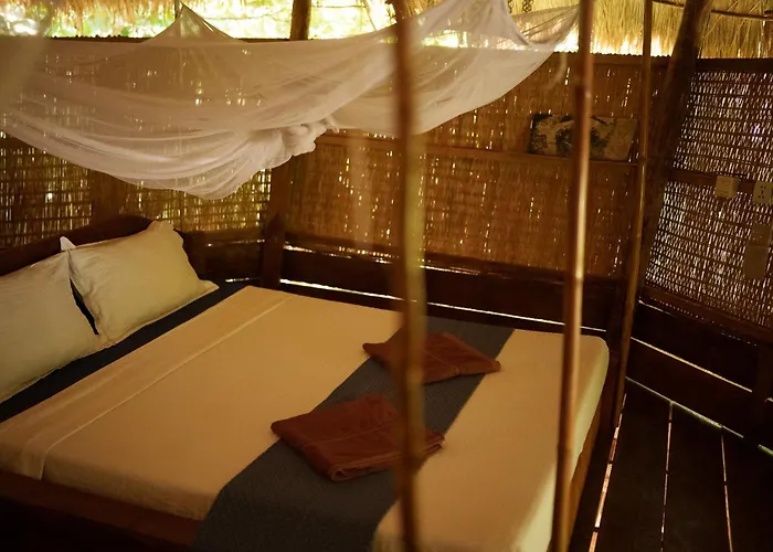 Kactus-Your Island Escape On Koh Ta Kiev